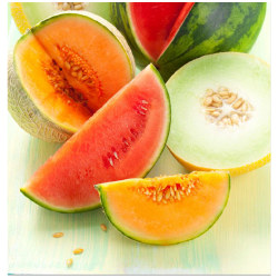 WATERMELON AND MELON FA2880