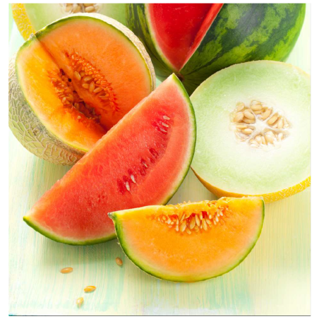 WATERMELON AND MELON FA2880