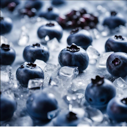 BLUEBERRY ARTIC FA2851