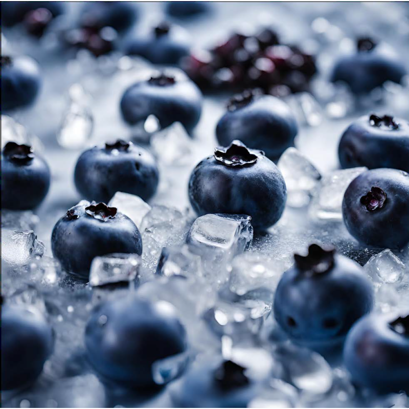 BLUEBERRY ARTIC FA2851