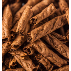 DRY TOBACCO FA2856