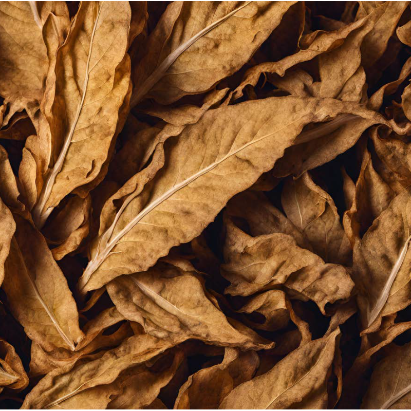 SOFT TOBACCO FA2857