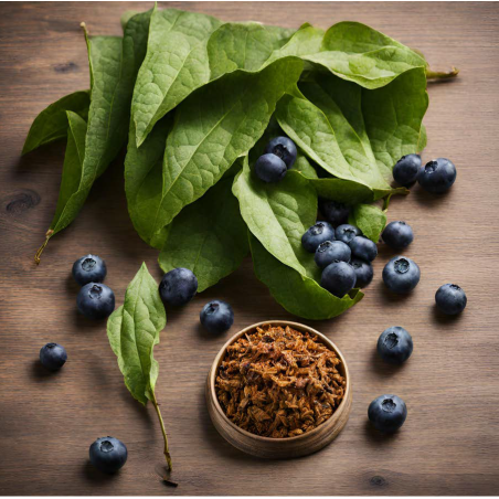 TOBACCO AND BLUEBERRY FA2847