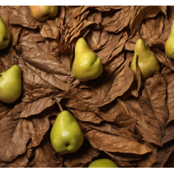 TOBACCO AND PEAR FA3137