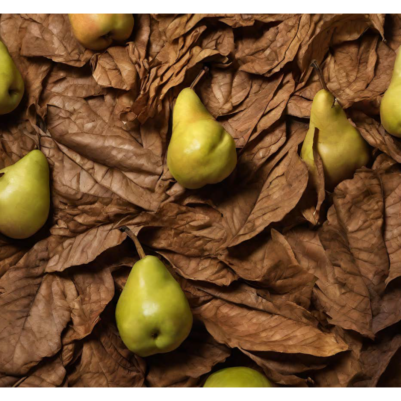 TOBACCO AND PEAR FA3137