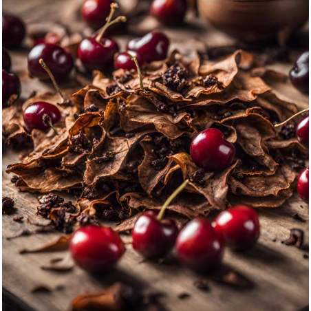 TOBACCO AND DARK CHERRIES FA3148