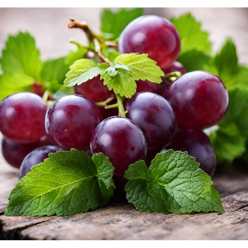 GRAPE WITH MINT TOUCH FA1735
