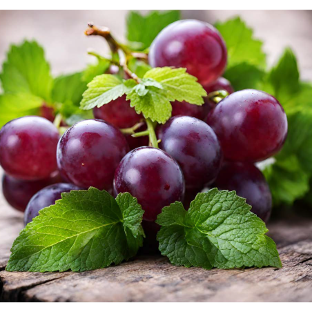 GRAPE WITH MINT TOUCH FA1735