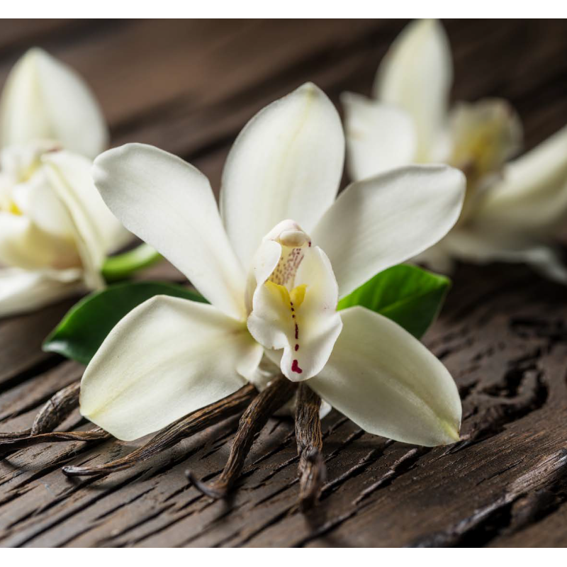 KILLA VANILLA (Bourbon and Tahity Vanilla mix) FA2598