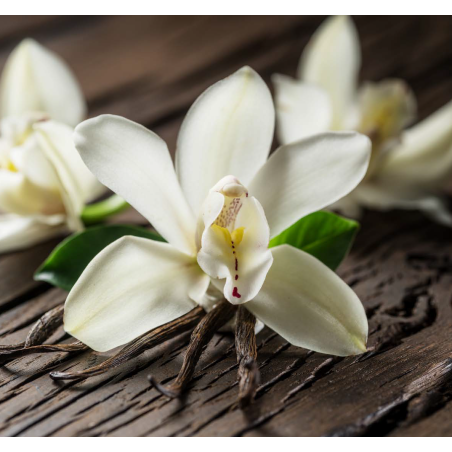 KILLA VANILLA (Bourbon and Tahity Vanilla mix) FA2598