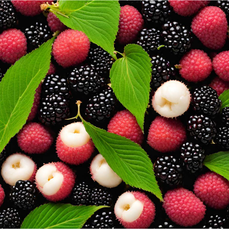 BLACK SOUL (Blackberry/Lychee) FA2754