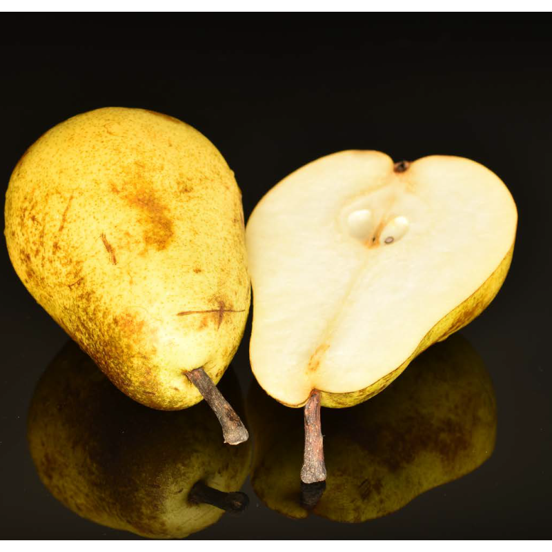PEAR WILLIAMS DC FA3174
