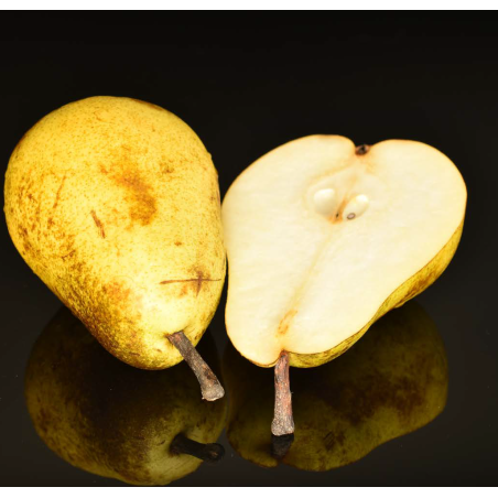 PEAR WILLIAMS DC FA3174