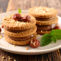 COOKIE HAZELNUT CREAM FA4058
