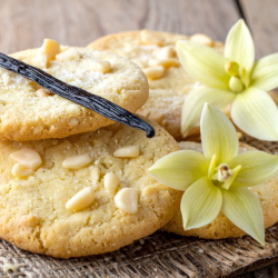 COOKIE VANILLA FA4055