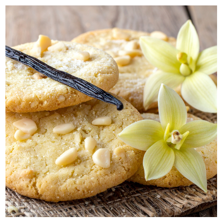 COOKIE VANILLA FA4055