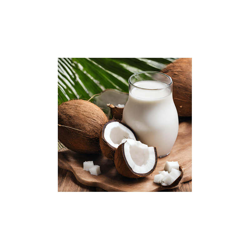COCONUT MILK FA2859