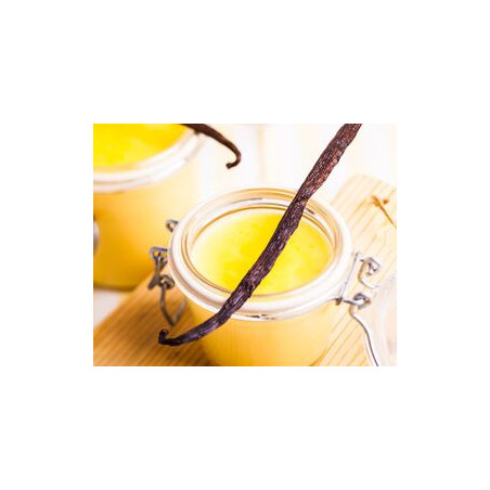 CUSTARD CP+ FA2748