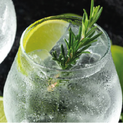 GIN TONIC FA4702