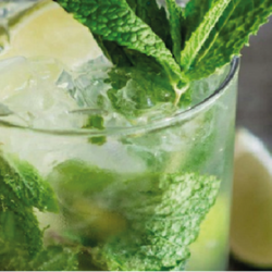 MOJITO FA4703