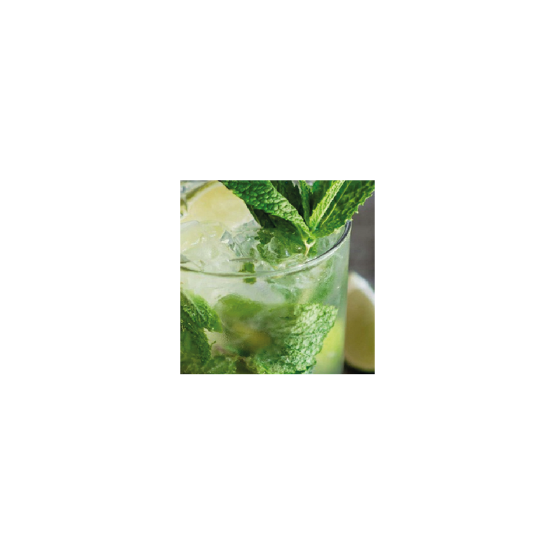 MOJITO FA4703