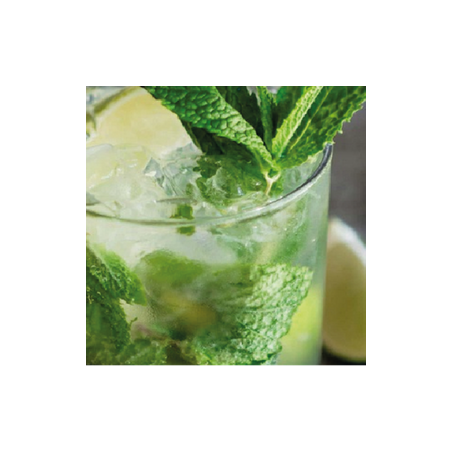 MOJITO FA4703