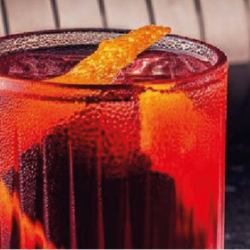 NEGRONI FA4704