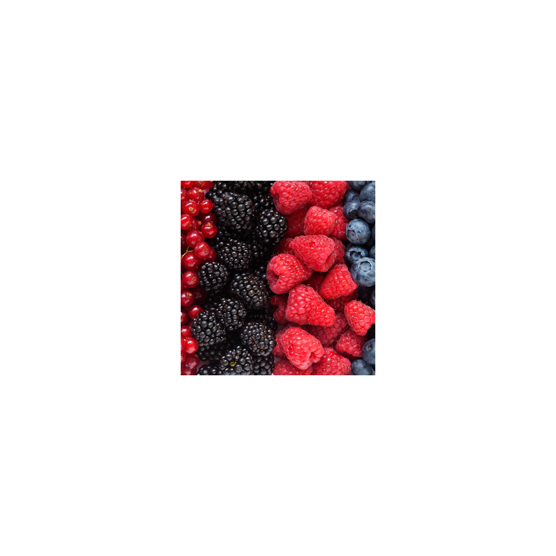 EXOTIC BERRIES FA3534