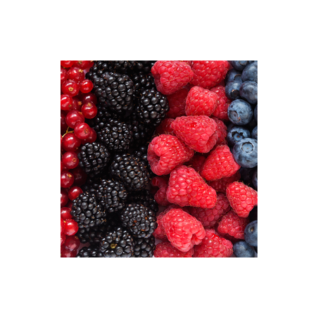 EXOTIC BERRIES FA3534