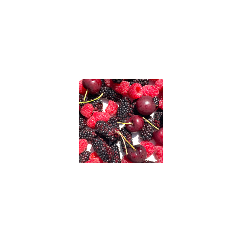 BLACKBERRY, STRAWBERRY AND BLACK CHERRY FA3748