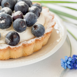 BLUEBERRY CUSTARD FA4355