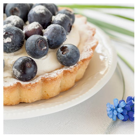 BLUEBERRY CUSTARD FA4355