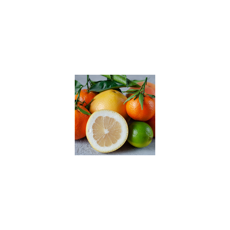MANDARIN, LIME AND GRAPFRUIT FA3751
