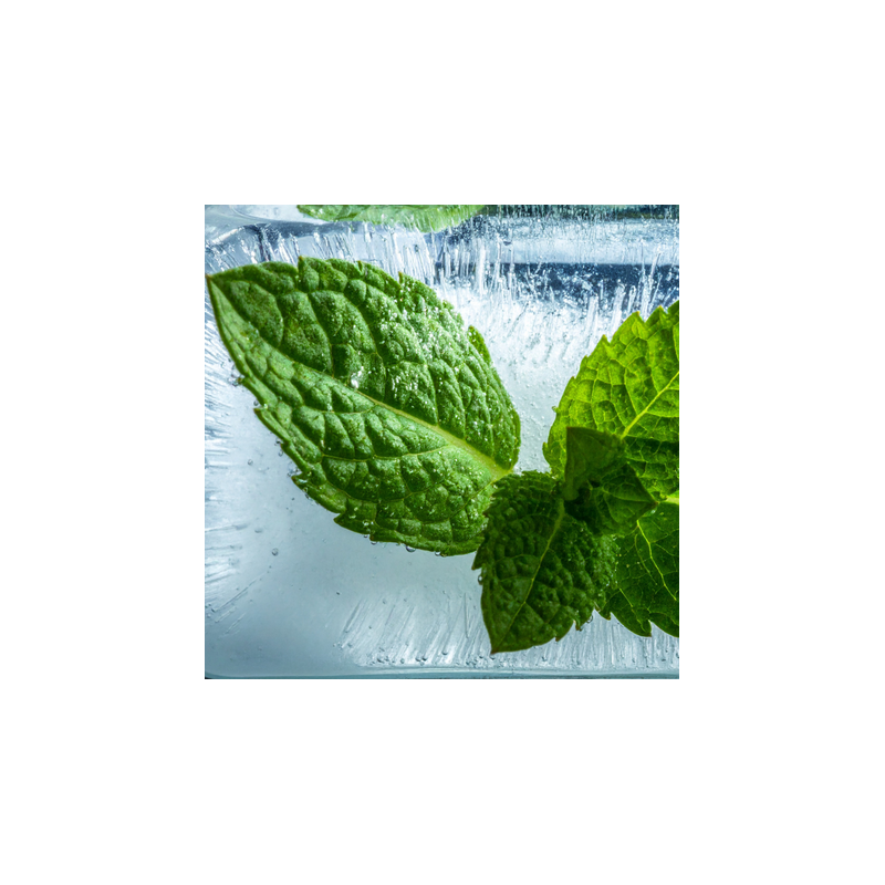 SOFT MINT FA3707