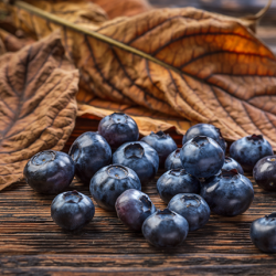 WILD BLUEBERRY TOBACCO FA3696